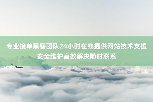 专业接单黑客团队24小时在线提供网站技术支援安全维护高效解决随时联系